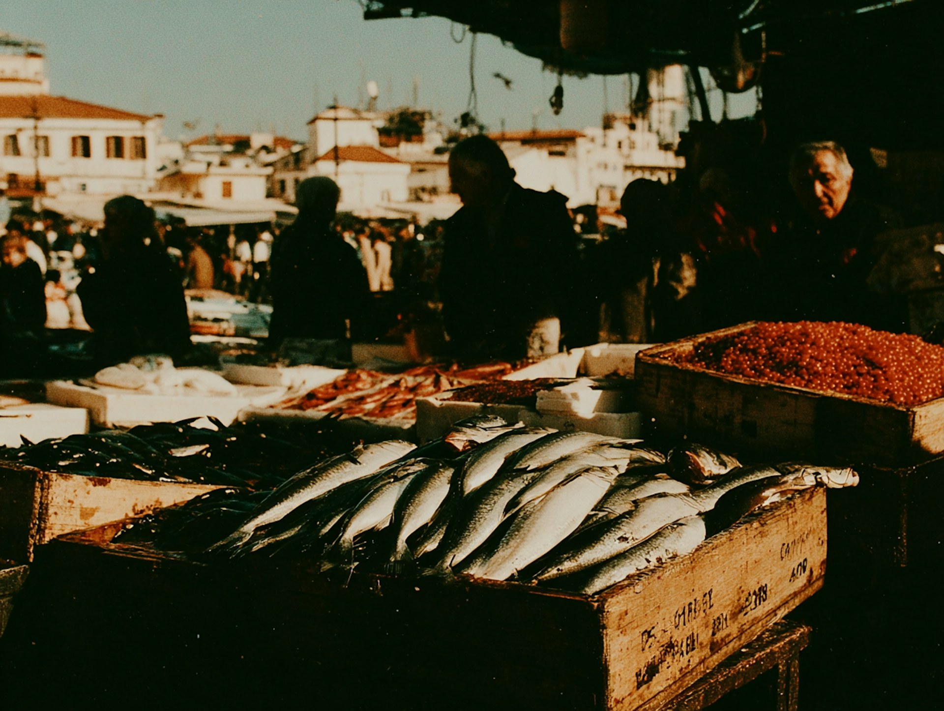 A Tsukiji fish-market morning